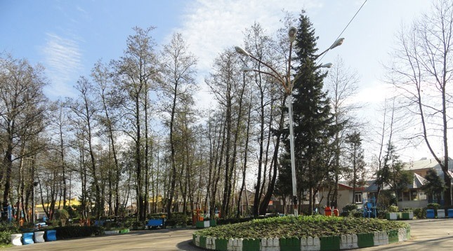 تداوم هوای گرم و تابستانی گیلان در نیمه زمستان