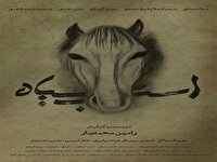 اسب سیاه اثر فیلم ساز مهابادی به هفتاد و دومین جشنواره منطقه‌ای آبادان راه یافت