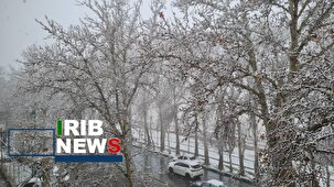 البرز استوار امروز هم سفید پوش شد