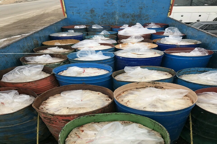 کشف ۲۴ تن رب گوجه بدون مجوز بهداشتی