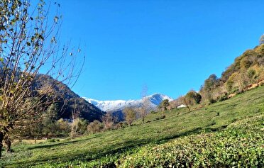 پایداری هوای آخرین روز هفته در گیلان