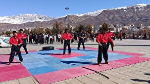 همایش هنرهای رزمی در کهگیلویه و بویراحمد