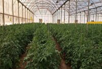 بهره برداری از دو طرح کشاورزی و عمرانی در فارغان حاجی آباد