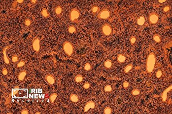 مناظر استرالیا از آسمان