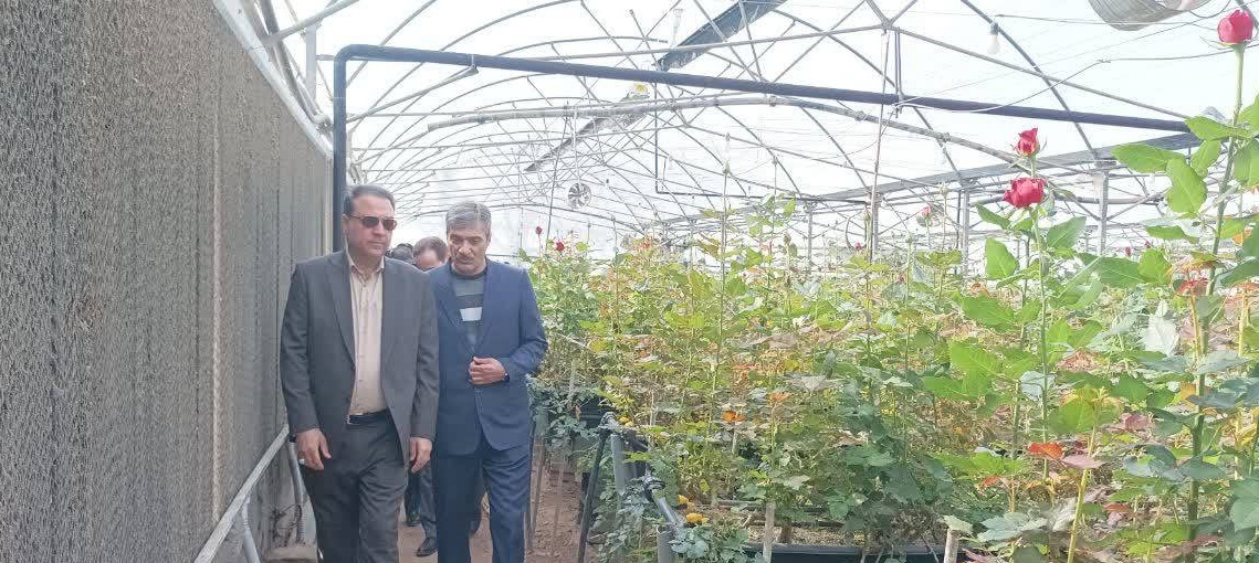 افتتاح سیستم گرماتاب گلخانه‌ای در نیشابور