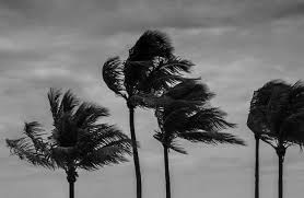  شمال خلیج فارس نیز در تا پایان روز جمعه مواج خواهد بود. سامانه بعدی بارش از روز شنبه استان را تحت تاثیر قرا خواهد داد.