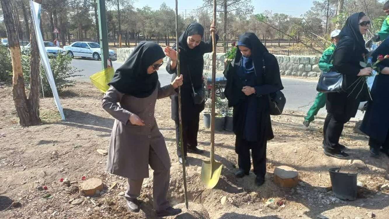 کاشت بیش از ۱.۴ میلیون اصله نهال در استان تهران در قالب طرح مردمی کاشت یک میلیارد درخت