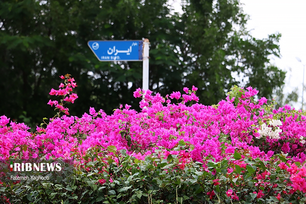 آسمان کیش صاف همراه با مه صبحگاهی، ۲۲ بهمن