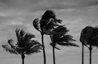  شمال خلیج فارس تا پایان روز جمعه مواج