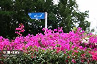 آسمان کیش صاف همراه با مه صبحگاهی، ۲۲ بهمن