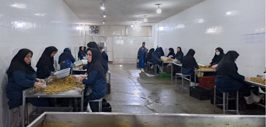 اشتغالزایی و توسعه اقتصادی مهمترین هدف واگذاری اراضی ملی