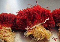 فروش کاکل ذرت به جای زعفران