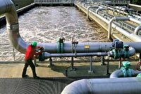 تبدیل زباله چوب به تصفیه‌کننده پساب؛ طرح نوآورانه دانشگاه آزاد شهرری