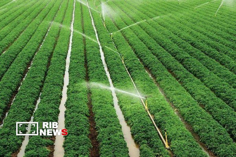  افتتاح طرح آبیاری کم‌فشار مزرعه رئیس‌آباد رفسنجان