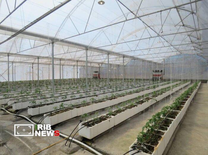 رتبه نخست آذربایجان شرقی در ایجاد گلخانههای مدرن رتبه نخست آذربایجان شرقی در ایجاد گلخانههای مدرن