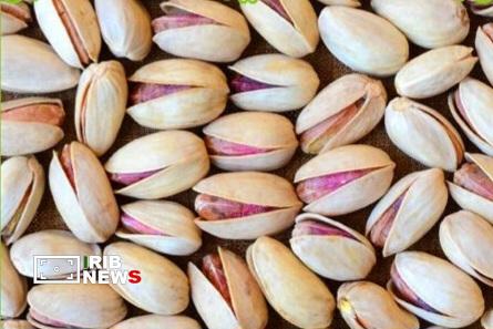 صادرات 20 هزار تن پسته از رفسنجان