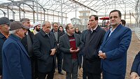 رتبه نخست آذربایجان شرقی در ایجاد گلخانه‌های مدرن