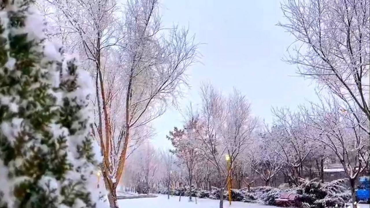 پیش بینی بارش برف و باران با ورود سامانه بارشی جدید پیش بینی بارش برف و باران با ورود سامانه بارشی جدید
