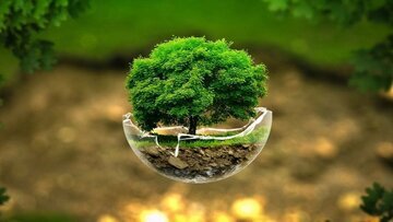 محیط‌زیست همچنان در رتبه آخر اعتبارات بودجه ۱۴۰۵