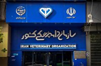 مهار بیماری‌های راهبردی و تقویت زیرساخت‌های فناورانه؛ دستاورد‌های نوین سازمان دامپزشکی کشور