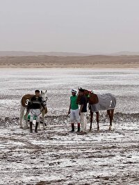 معرفی برترینهای مسابقات  جایزه بزرگ کورس اسب دوانی شرق کشور