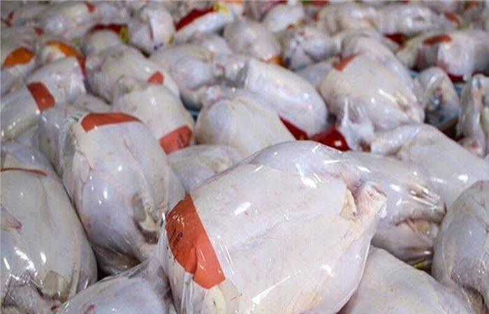 انعقاد ۱۳ قرارداد در طرح تولید قراردادی گوشت مرغ