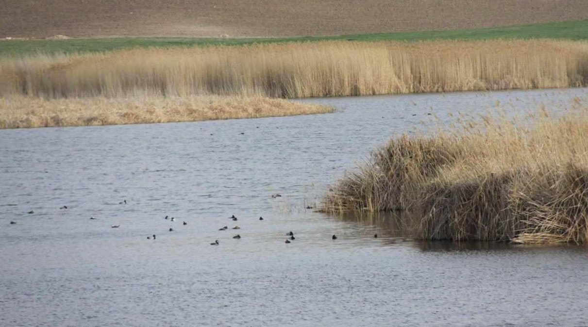 ورود هفت میلیون مترمکعب روان‌آب به تالاب کانی‌برازان