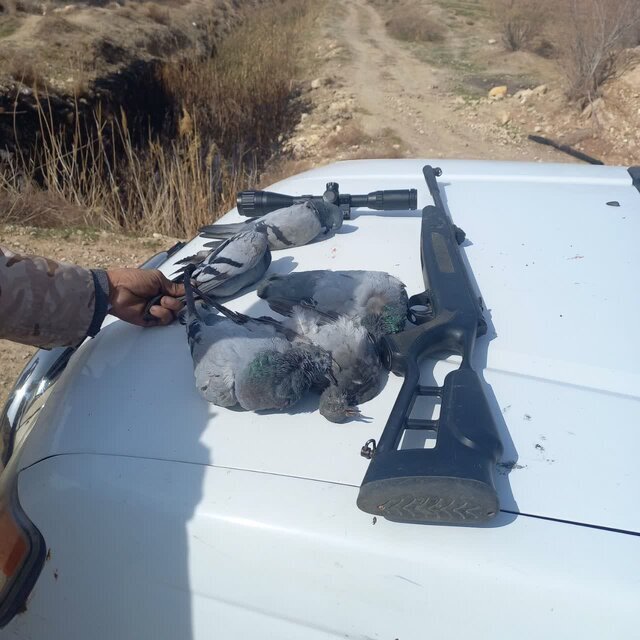 شکارچیان غیرمجاز در سه نقطه حساس استان دستگیر شدند