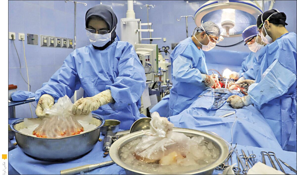 سی و یکمین اهدای عضو در یزد سی و یکمین اهدای عضو در یزد