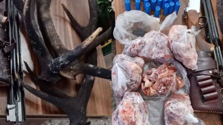 برخورد محیط‌بانان با شکارچیان غیرمجاز در کهگیلویه و بویراحمد