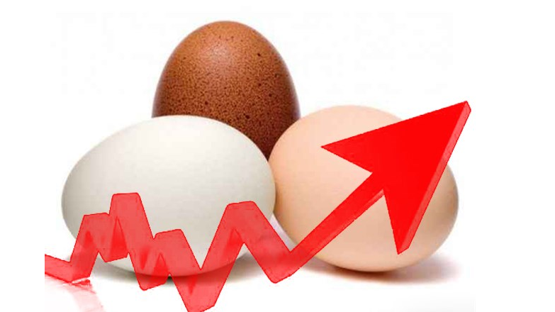 نگاهی به برخی برنامه های رادیویی
