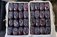 عرضه خرمای تنظیم بازار در استان یزد