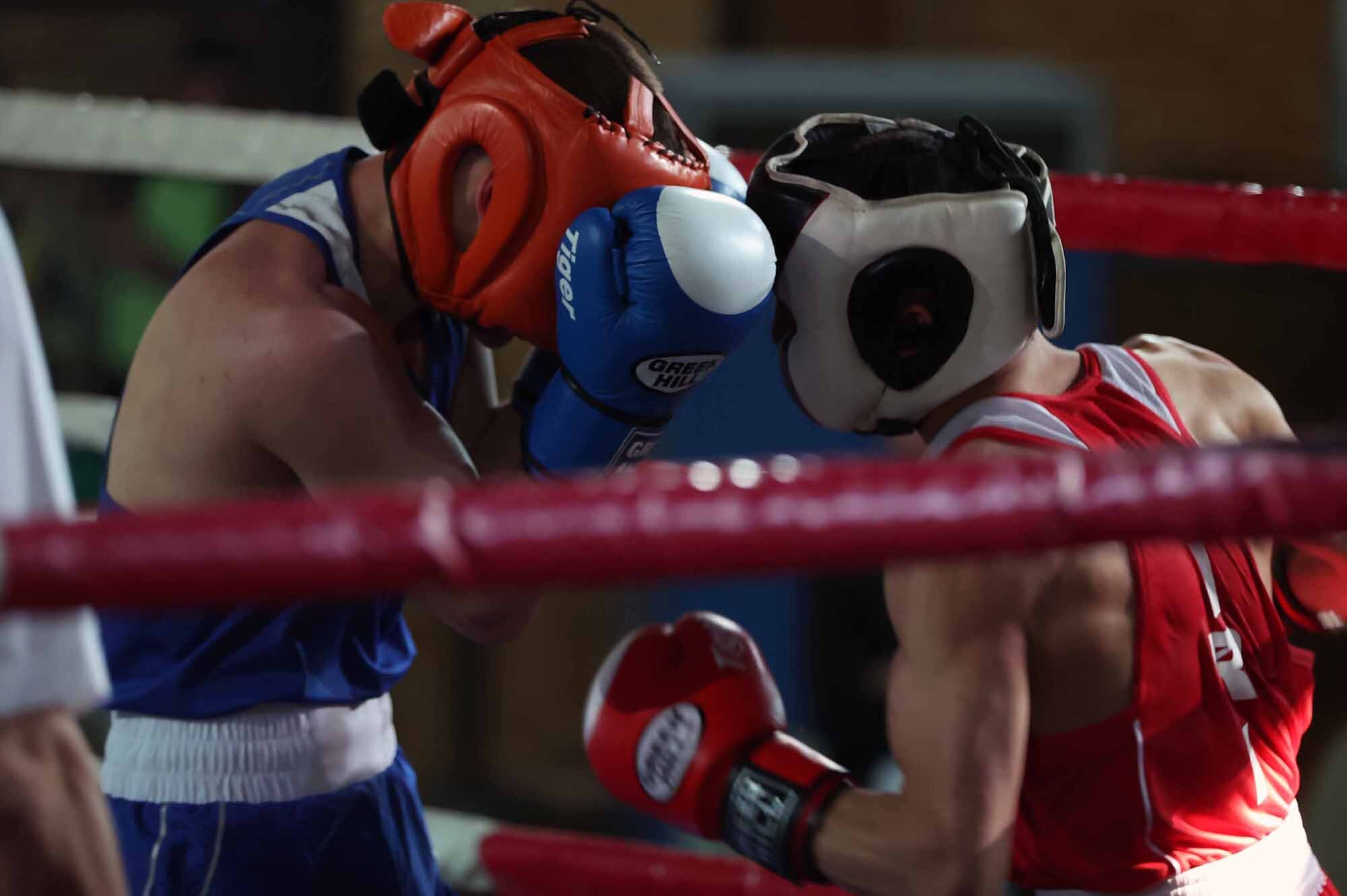 برگزاری لیگ برتر بوکس با حضور ۱۰ تیم