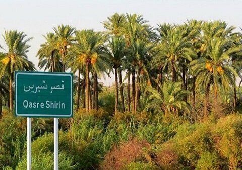 واگذاری ۲۳ هکتار از زمین‌های ملی برای کشت خرمای مجول