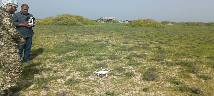 نخستین سرشماری آهوان جزیره خارگو با پهپاد انجام شد نخستین سرشماری آهوان جزیره خارگو با پهپاد انجام شد