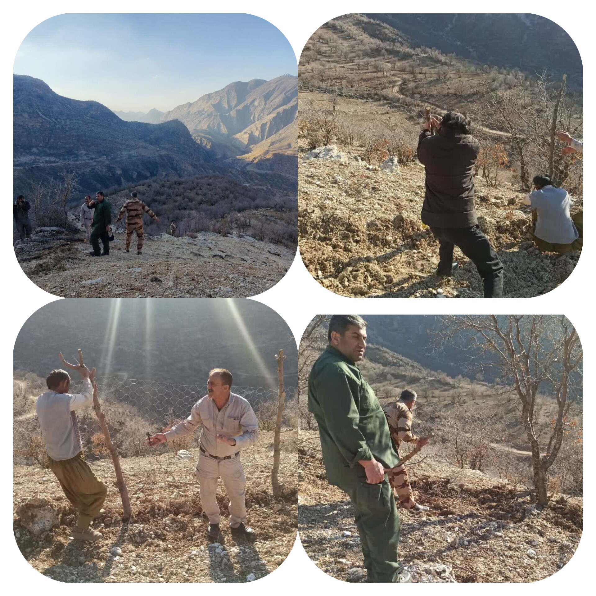 بازگردانی ۵۸ هزار مترمربع از اراضی ملی در شهرستان دنا