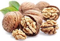 تولید ۲۵۰ هزار تن گردو با وجود تنش‌های اقلیمی