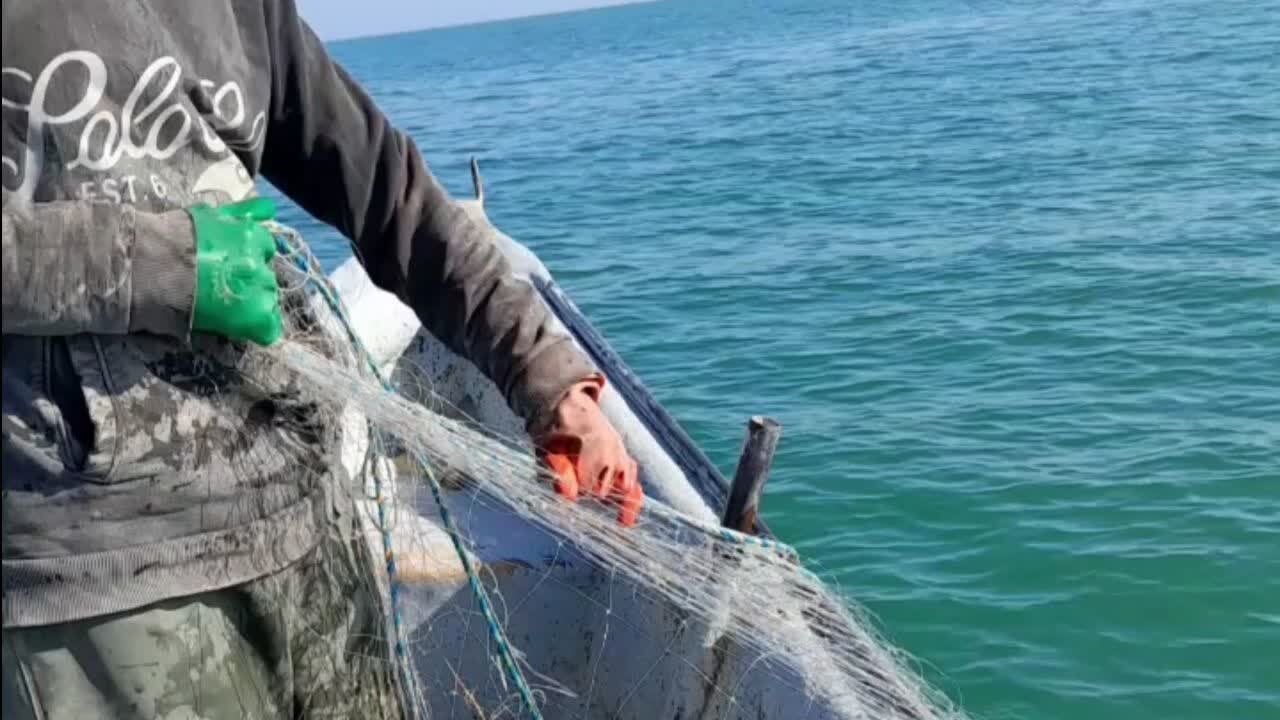 توقیف ۹ قایق صیادی غیرمجاز در آبهای ساحلی جویبار توقیف ۹ قایق صیادی غیرمجاز در آبهای ساحلی جویبار