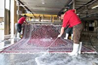 قالیشویی‌های غیرمجاز زیر ذره بین پلیس آگاهی