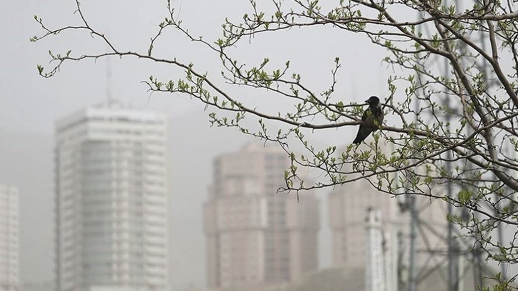 درباره ارتباط آلودگی هوا با آلزایمر بیشتر بدانیم درباره ارتباط آلودگی هوا با آلزایمر بیشتر بدانیم