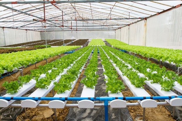 تسهیلات بانکی برای کشاورزی دانش بنیان تسهیلات بانکی برای کشاورزی دانش بنیان