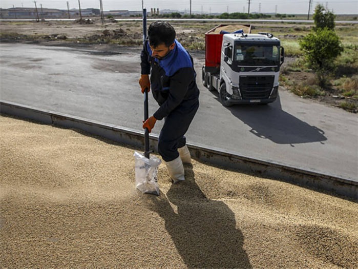 قیمت خرید تضمینی گندم در بودجه ۱۴۰۵