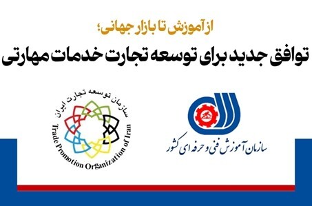 دیپلماسی مهارت