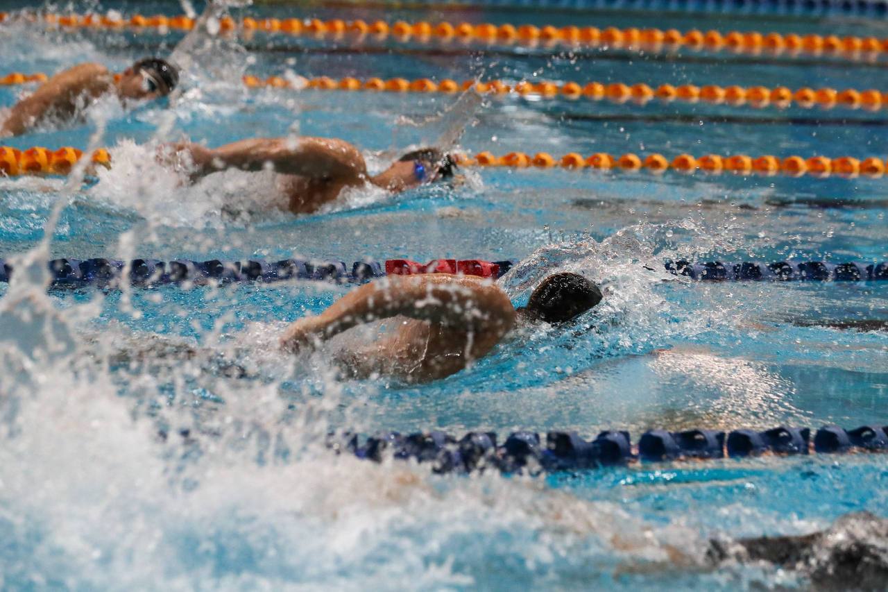 پایان هفتمین دوره جام شنای آزادی با معرفی برترین‌ها