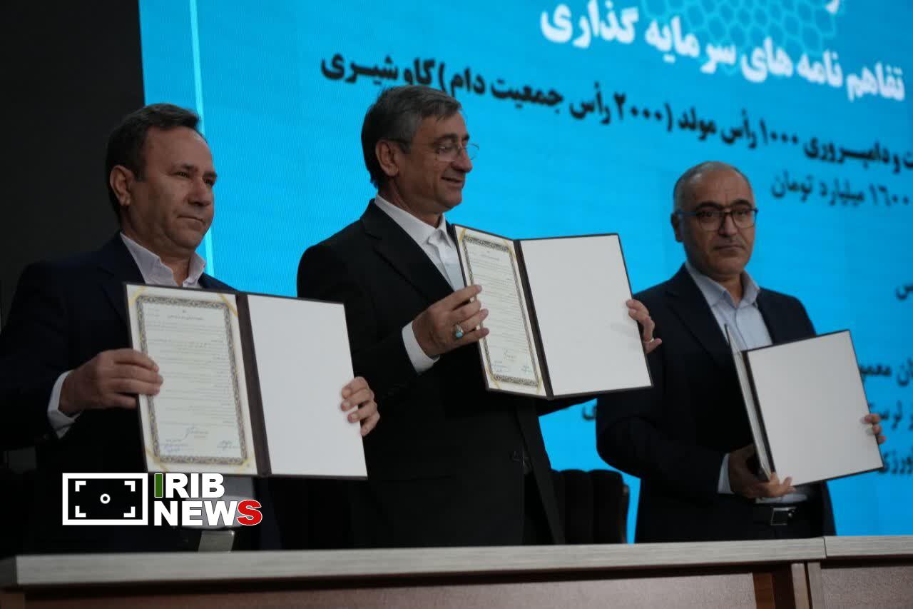 امضای تفاهمنامه سرمایهگذاری ساخت دامپروری ۲ هزار رأسی در لرستان امضای تفاهمنامه سرمایهگذاری ساخت دامپروری ۲ هزار رأسی در لرستان