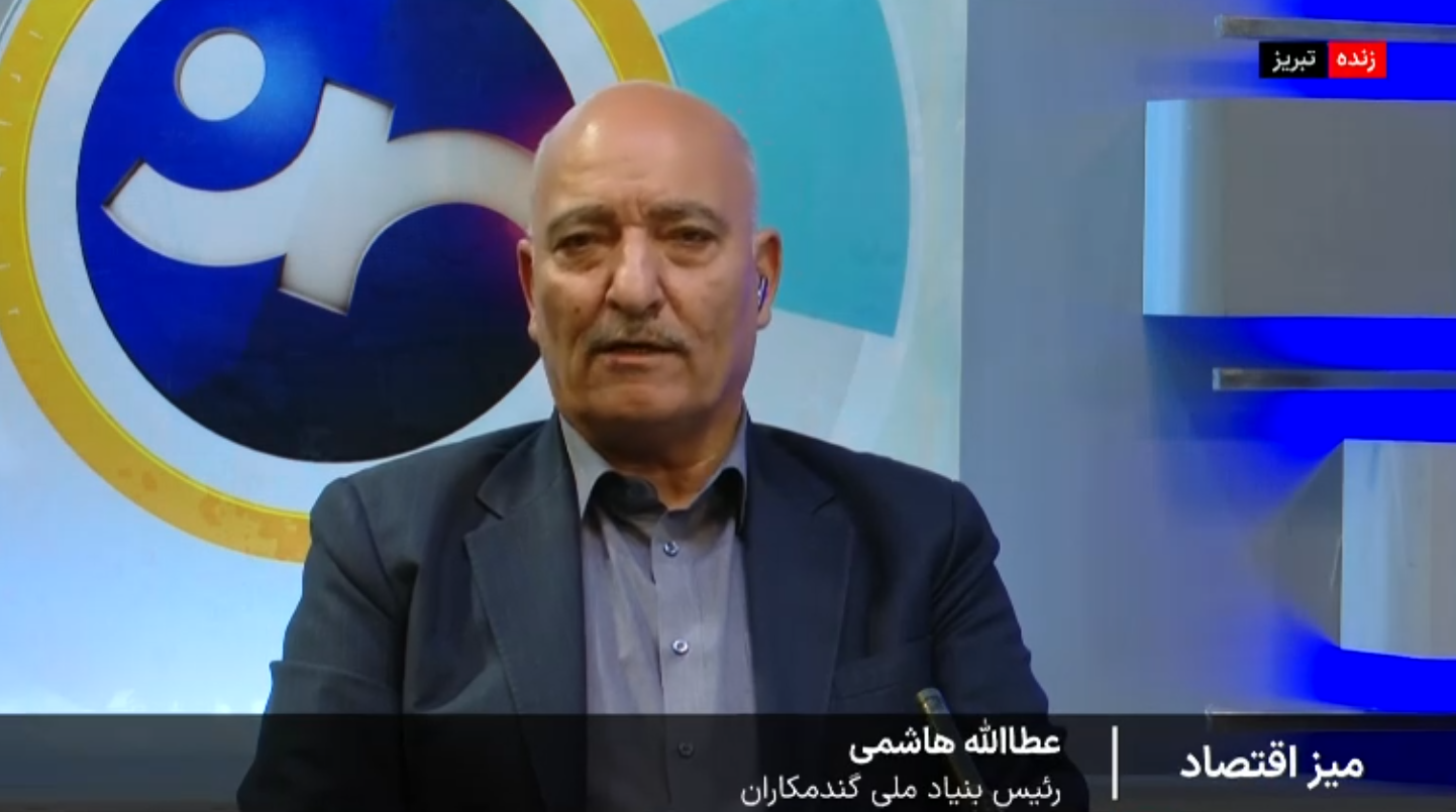 ضرورت اصلاح قیمت خرید تضمینی گندم ضرورت اصلاح قیمت خرید تضمینی گندم