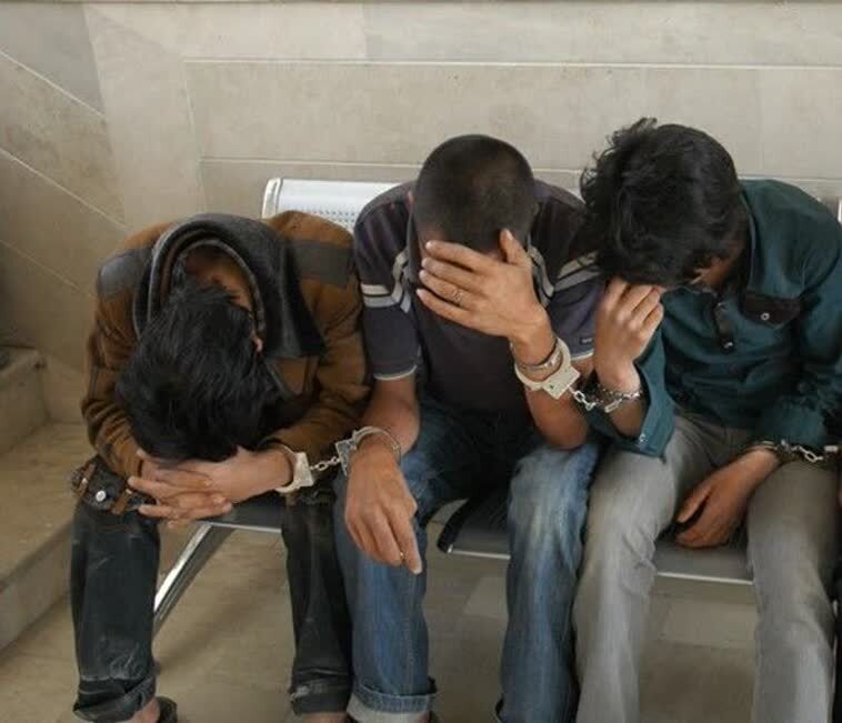 دستگیری سارقان کابل در شهرستان بیرجند