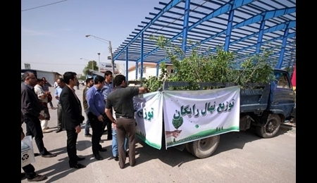 آغاز توزیع نهال های جنگلی در اراک