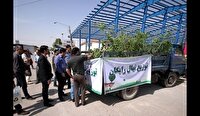 آغاز توزیع نهال های جنگلی در اراک