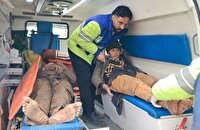 نجات جان ۷۰۰ اتباع کشور همسایه از مرگ حتمی در مرز تایباد